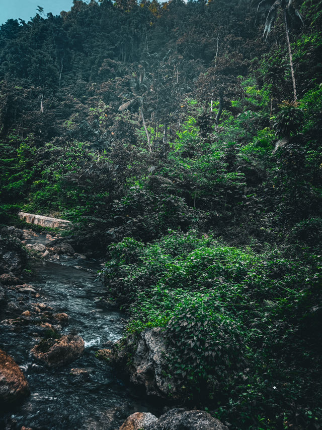 A forest retreat in 🇵🇭 