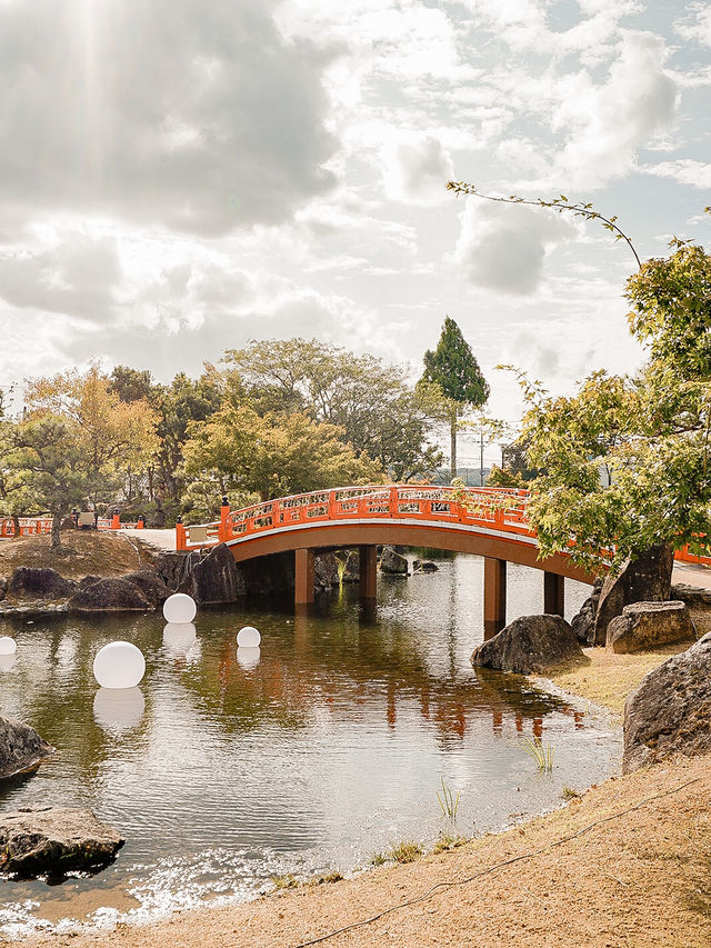 📍紫式部公園