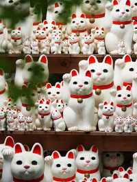 Purr-fect Sanctuary: Discover Japan's Enchanting Cat Temple🐱🕍