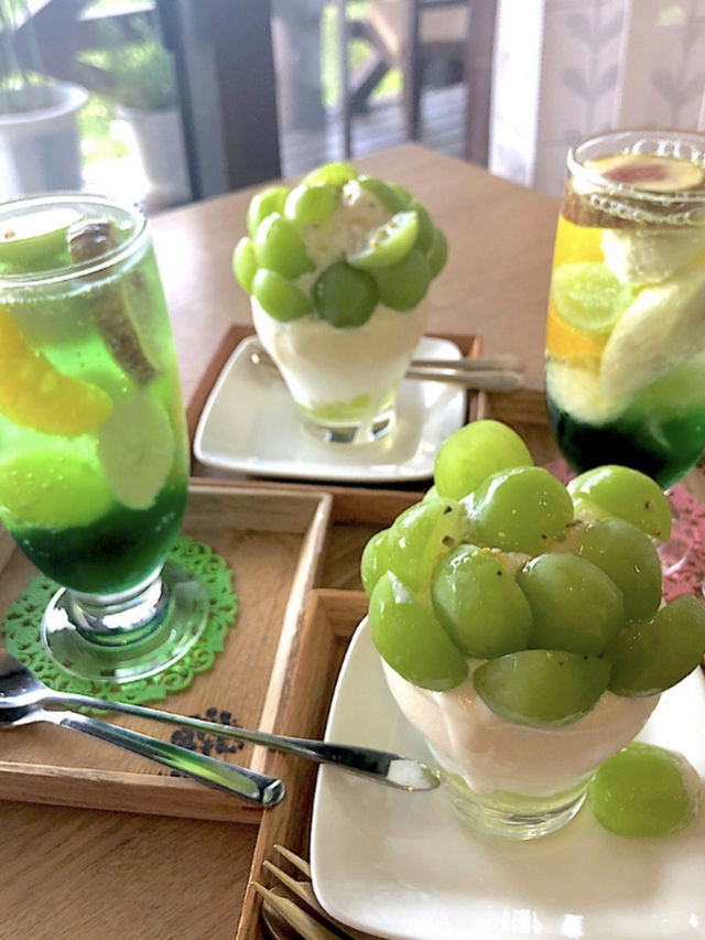【福岡カフェ】緑に囲まれた景色がいいカフェ🌳✨️