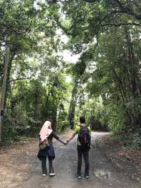 Discover Lush Trails and Hidden Beaches at Tanjung Tuan 🇲🇾