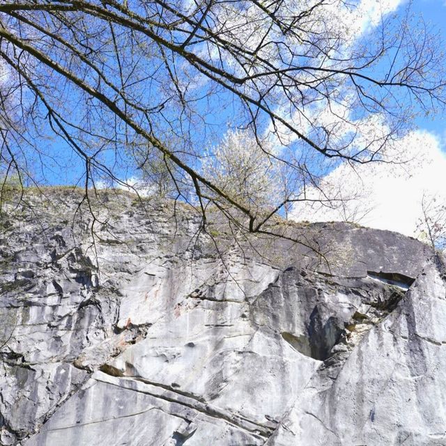🦁 Lion Monument