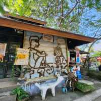 ตลาดฉำฉา : กาดชุมชนโหล่งฮิมคาว สันกำแพง เชียงใหม่