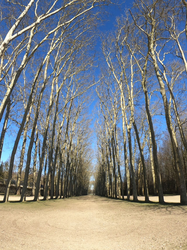 【パリ🇫🇷】均一のとれた庭園が素敵すぎる🤍