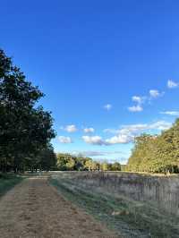 🇬🇧 倫敦最大的皇室公園