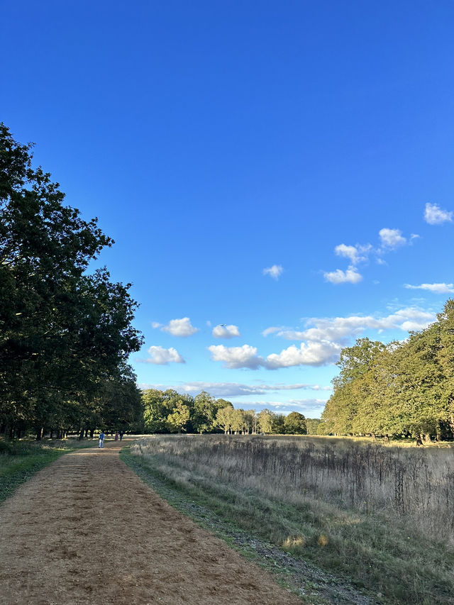 🇬🇧 倫敦最大的皇室公園