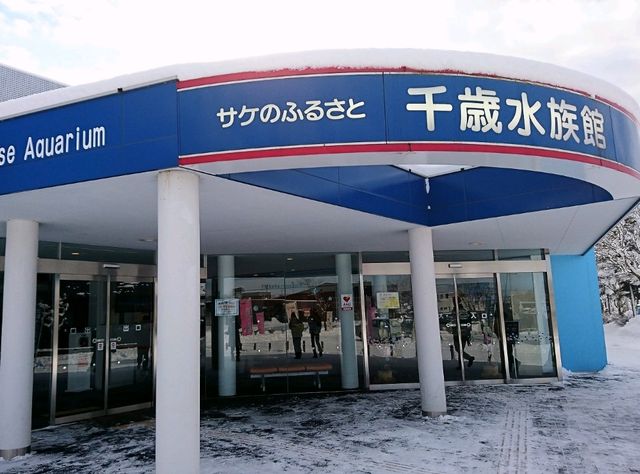 【サケのふるさと 千歳水族館:北海道千歳市】鮭などの淡水魚を見れる珍しい水族館🐧