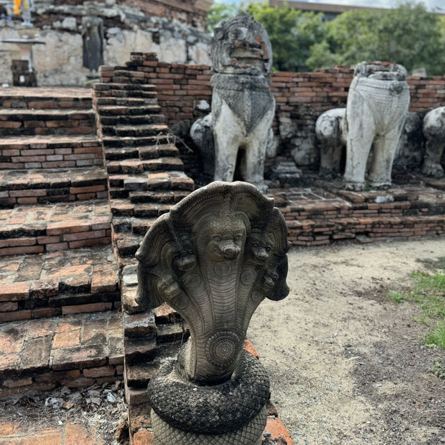 Discovering Serenity at Wat Thammikarat: A Hidden Gem in Ayutthaya's Heat