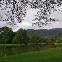 Taiping Lake Garden
