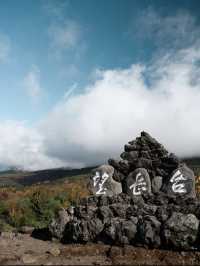【おすすめ紅葉スポット】北海道の美瑛