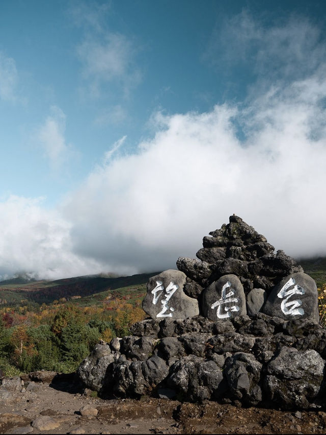 【おすすめ紅葉スポット】北海道の美瑛