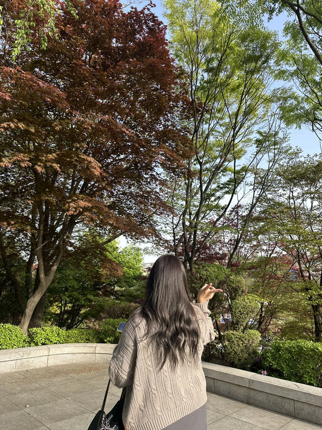 kyung hee global campus