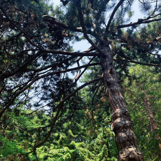 家園植物園：綠意自然樂園 🌿🌼