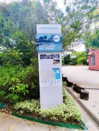 Hidden Gem Sembawang Hot Spring Park