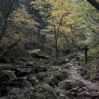三池岳：初秋絕美🏞️🍂