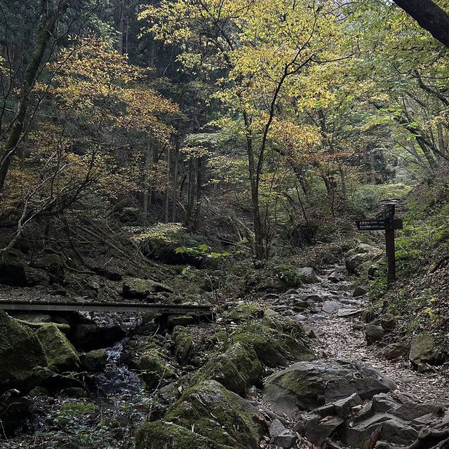 三池岳：初秋絕美🏞️🍂