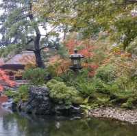 【神奈川】八方除けで有名！寒川神社