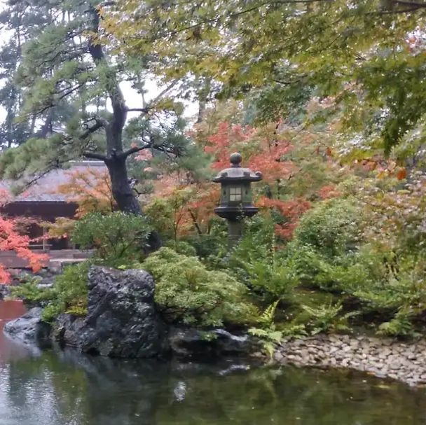 【神奈川】八方除けで有名！寒川神社