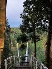 เที่ยวน้ำตก เล่นzipline ที่ลาวใต้