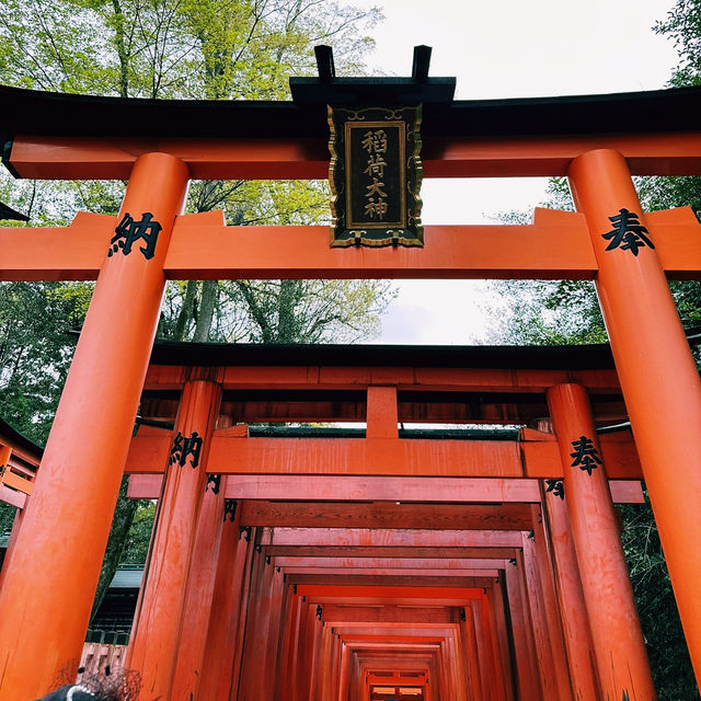 ⛩️超經典而壯觀的代表鳥居⛩️