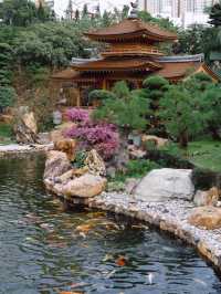 Nan Lian Garden สวนจีนโบราณในฮ่องกง