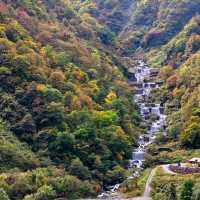 One day trip to Kurobe Gorge and sightseeing on Kurobe Gorge Railway🚂