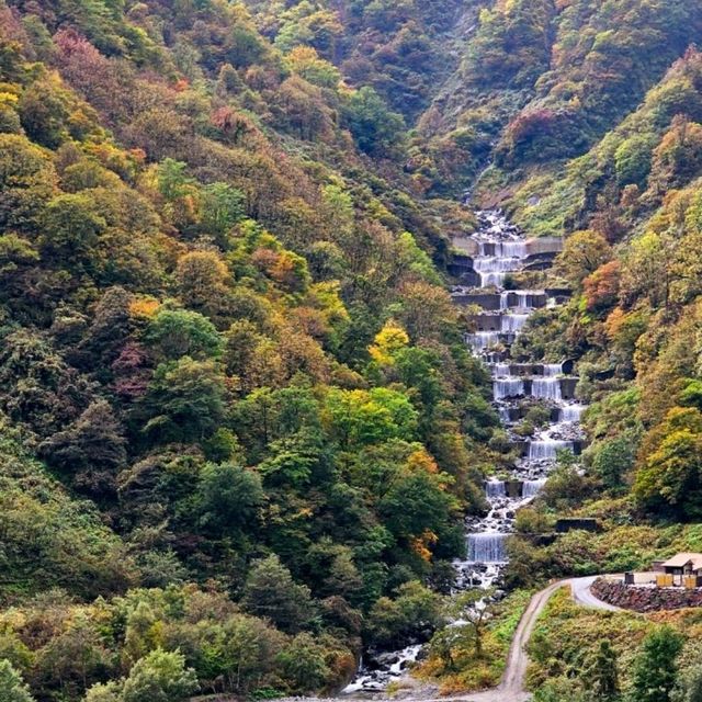 One day trip to Kurobe Gorge and sightseeing on Kurobe Gorge Railway🚂