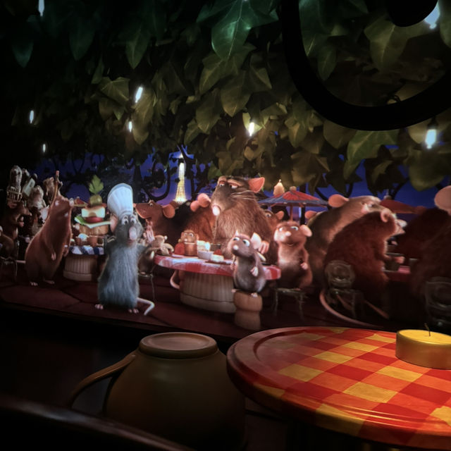 ディズニーランドパリ✨