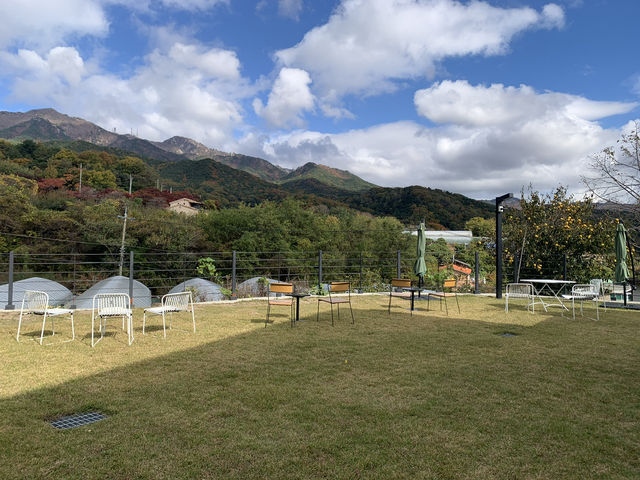 "팔공산의 숨은 보석, 팀버카페에서 힐링하기"