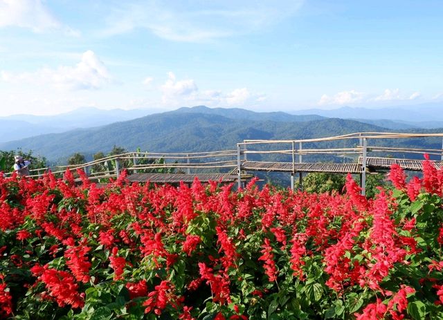 Yingyong flower garden