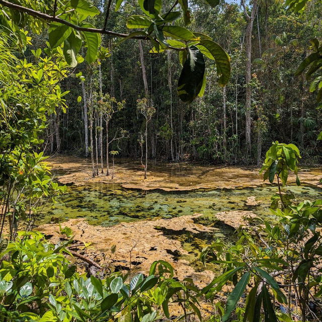 Emerald Pool in Krabi