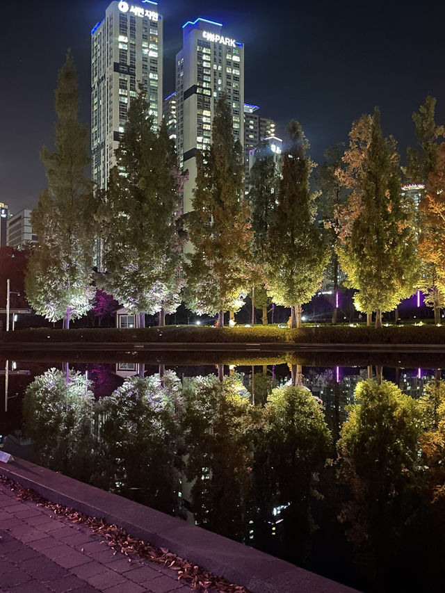 부산의 센트럴 파크 부산시민공원🌿🌳🍂🍁단풍구경하기 좋아요! 