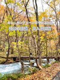 【青森】１４kmに及ぶ美しすぎる渓流✨
