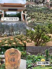 深圳一日遊行程推介💝仙湖植物園❗️網紅必去打卡點