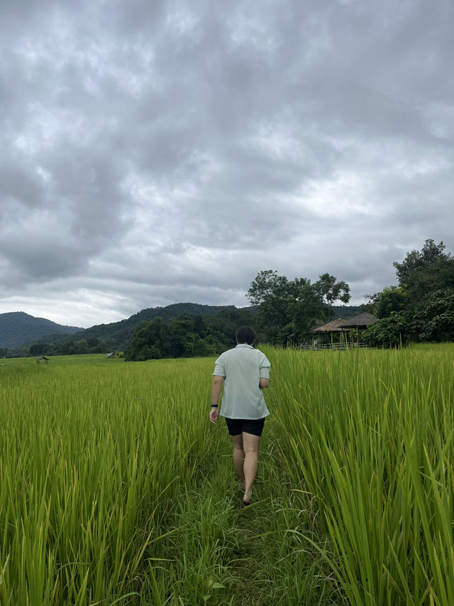 Laos: Rich Blend of Colonial and Traditional Lan Xang Cultures