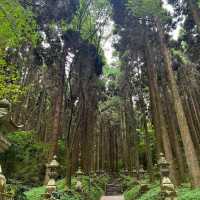 大歲神社📝清幽靜謐⛩️🌲
