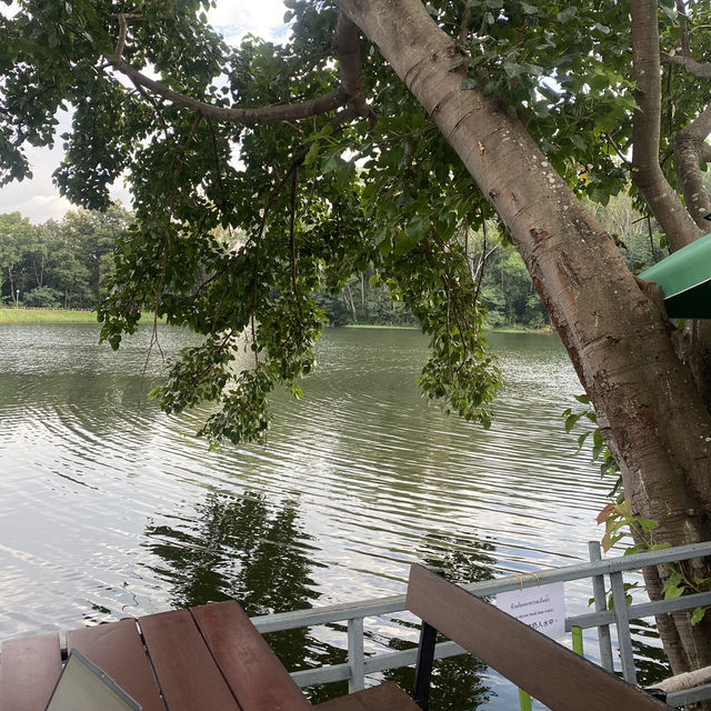 กาแล เชียงใหม่ - ร้านอาหารท่ามกลางธรรมชาติ 🌳🍃