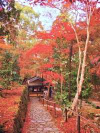 【ここ行って】国の重要文化財多数存在する紅葉スポット🍁大量のお地蔵さんも✨