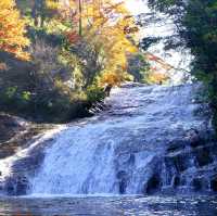 【千葉県】関東市遅い紅葉スポット！養老渓谷