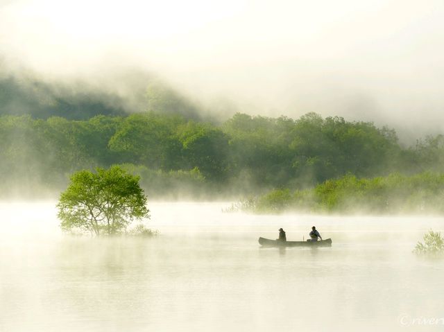 【山形県】春だけの風物詩！白川湖の水没林