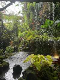 Have fun at cloud forest Singapore ❤️