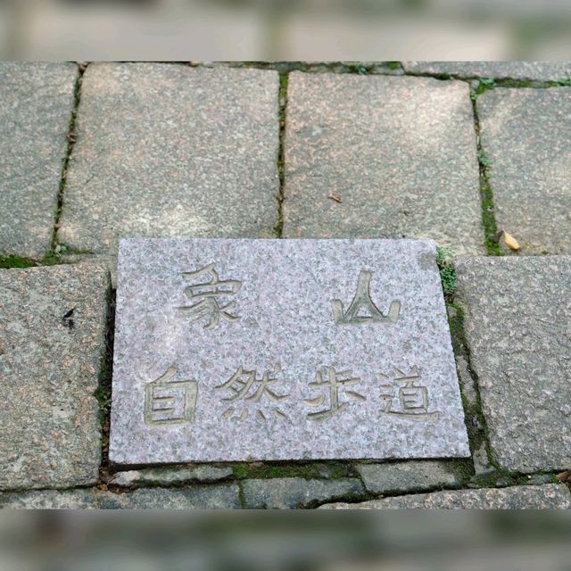 台北輕鬆親山步道🤩