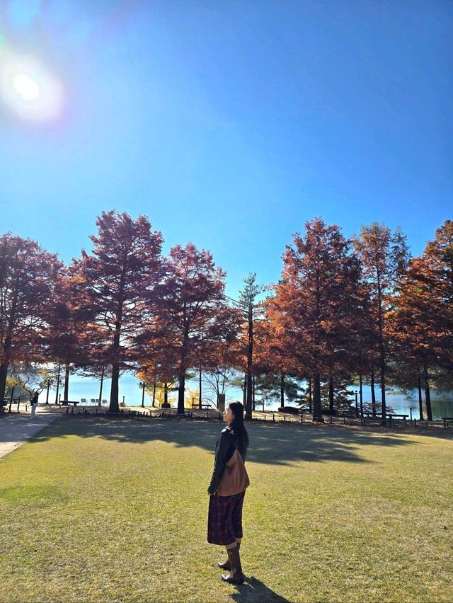 국화와 단풍이 아름다운 청주 가을여행지🤎
