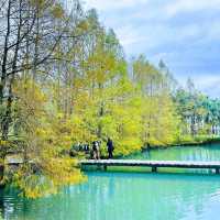 花蓮雲山水夢幻湖