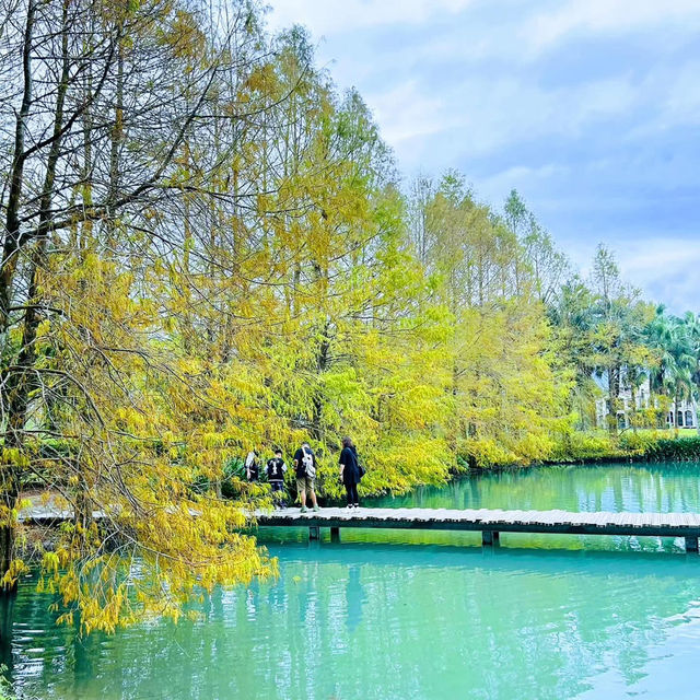 花蓮雲山水夢幻湖