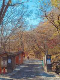 세계문화유산에 등재된 한국 사찰 중 하나”선암사“
