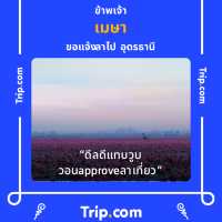 เกาะหนูเกาะแมว สงขลา