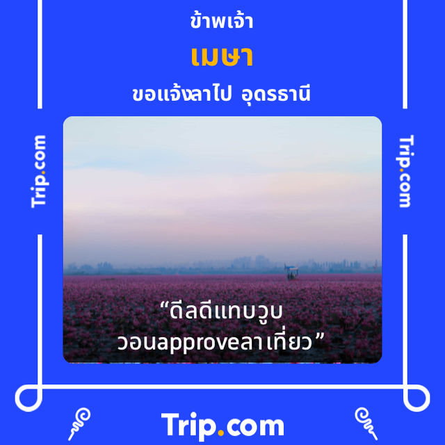 เกาะหนูเกาะแมว สงขลา