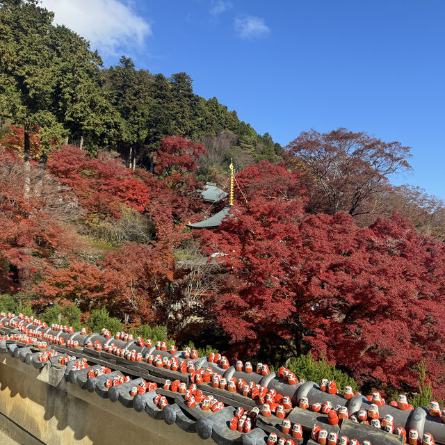 大阪近郊紅葉景點 - 勝尾寺🍁