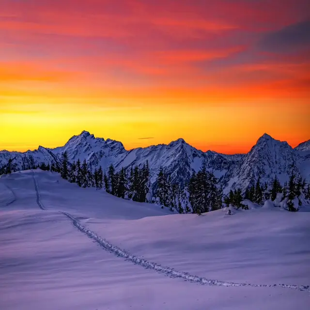 3 เหตุผลที่คุณควรเลือกวอชิงตันเป็นจุดหมายปลายทางสำหรับวันคริสต์มาสครั้งต่อไปของคุณ